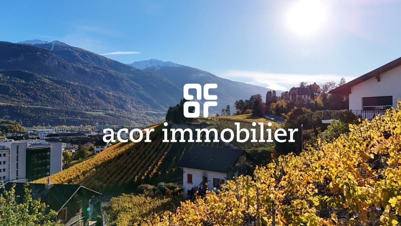 Magnifiques parcelles à vendre à Sierre - Situation privilégiée (2)