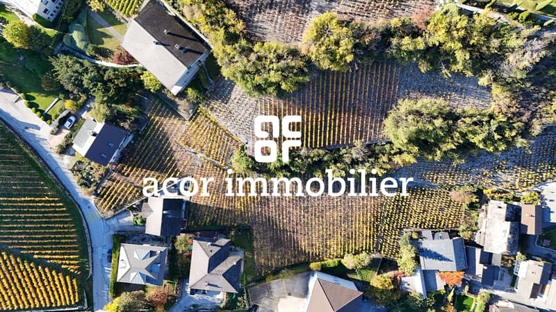 Magnifiques parcelles à vendre à Sierre - Situation privilégiée (5)