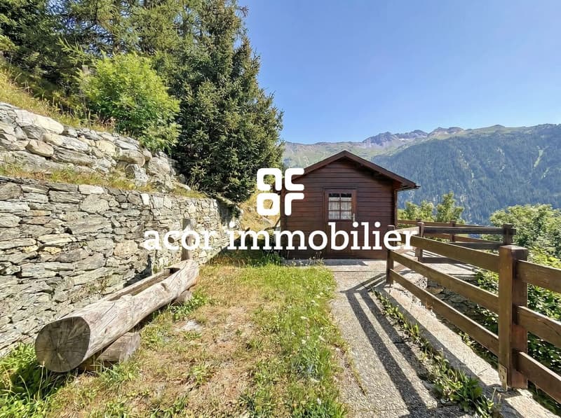 Val d'Hérens - Chalet coup de coeur à Mase (6)