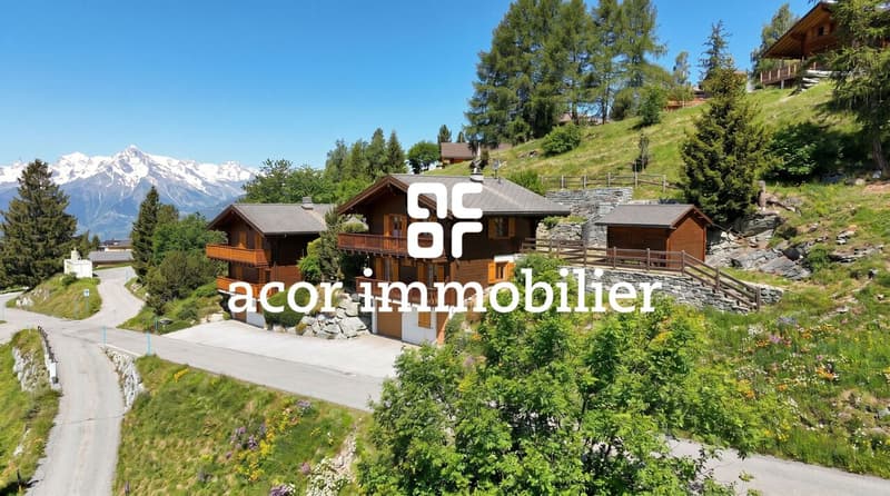 Val d'Hérens - Chalet coup de coeur à Mase (2)