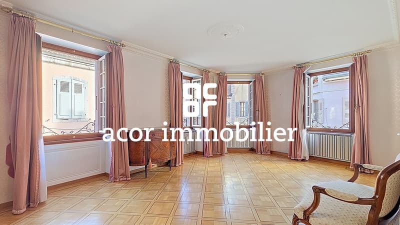 Maison de prestige avec commerce situation d'exception (9)