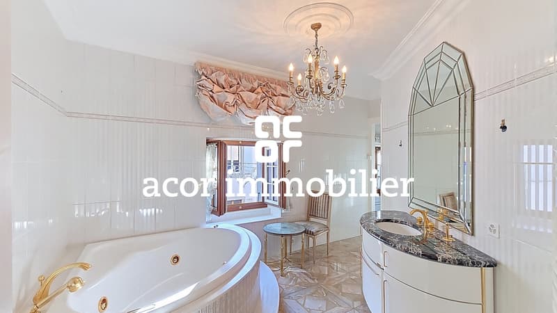 Maison de prestige avec commerce situation d'exception (6)