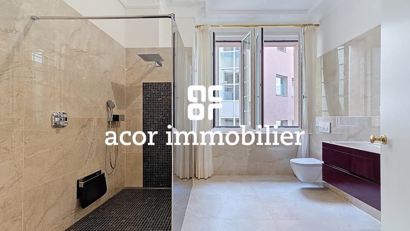 Immeuble commercial situation d'exception (3)