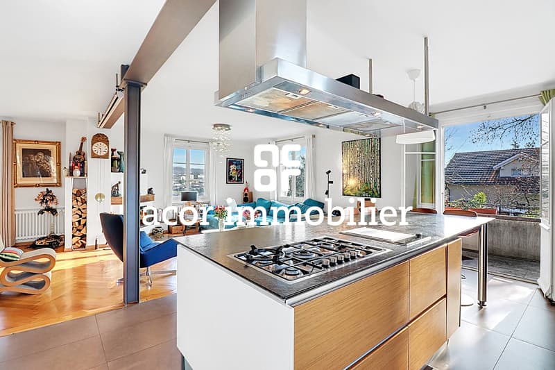 Maison individuelle de 5.5 pièces au cachet exceptionnel (3)