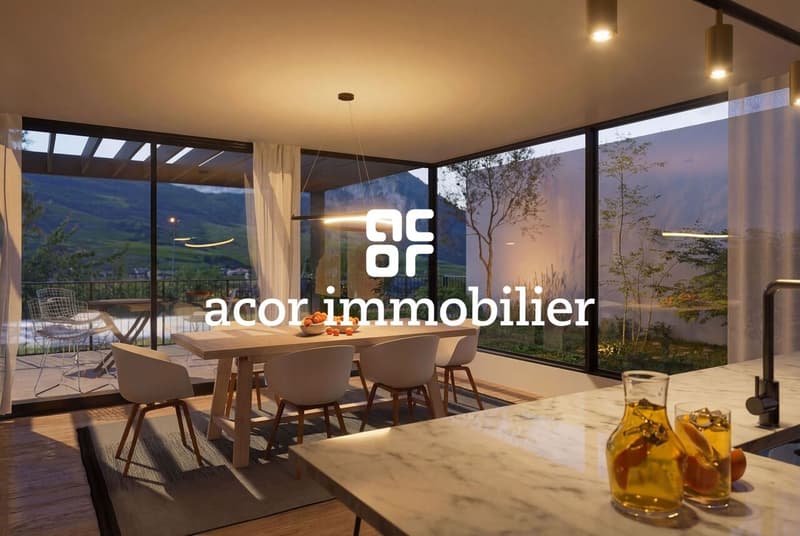 Appartement-villa 4,5 pces avec jardin et rooftop privatifs (4)