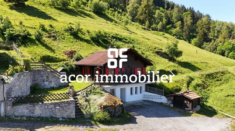 Chalet en pleine nature - Vue imprenable et calme absolu (1)