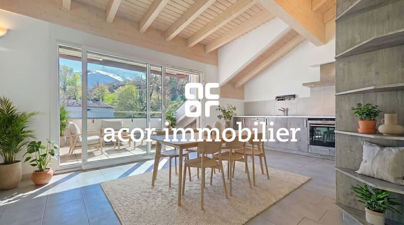 Grand appartement 4,5 pces -  Attique -  Idéalement situé ! (2)