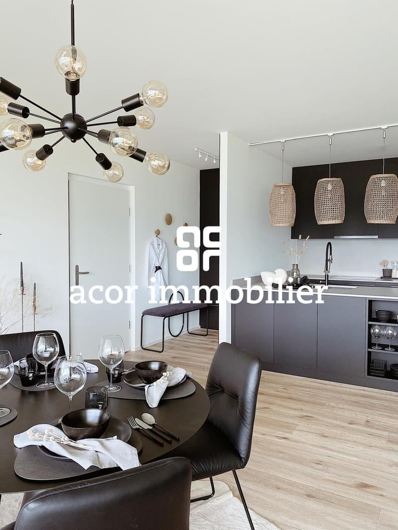 À louer - Superbe appartement 3.5 pièces meublé avec grande terrasse (2)