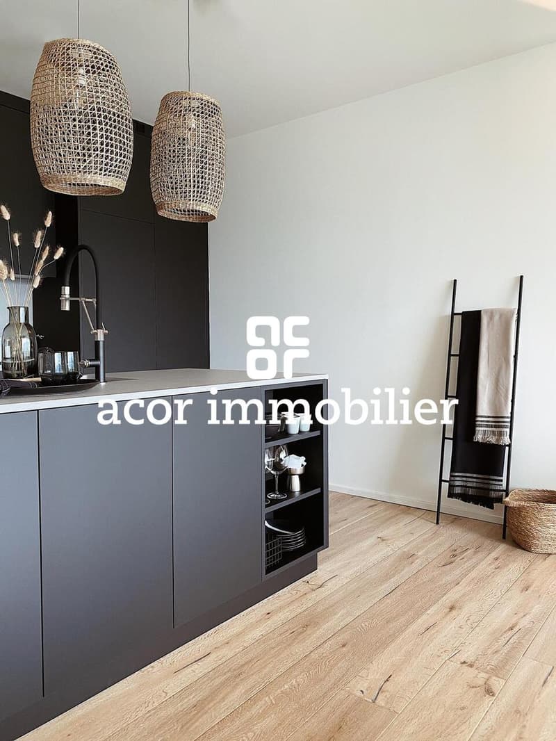 À louer - Superbe appartement 3.5 pièces meublé avec grande terrasse (1)