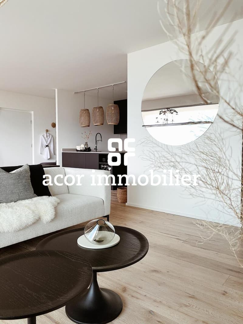 À louer - Superbe appartement 3.5 pièces meublé avec grande terrasse (4)
