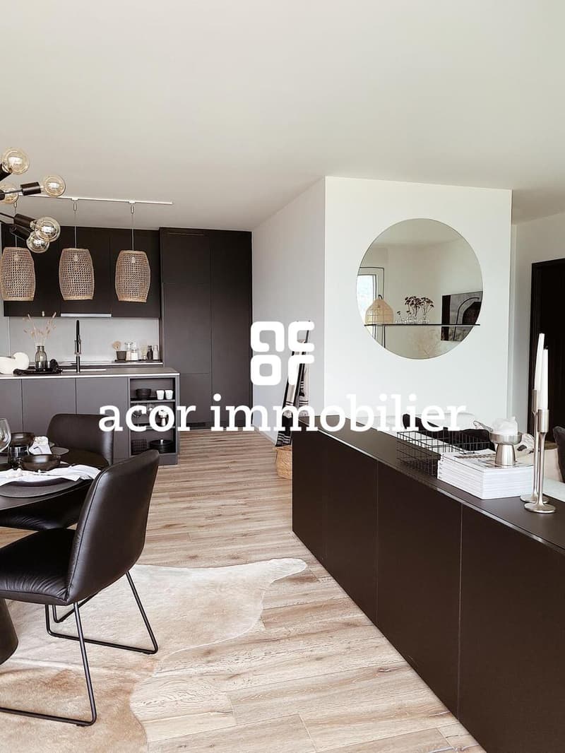 À louer - Superbe appartement 3.5 pièces meublé avec grande terrasse (3)