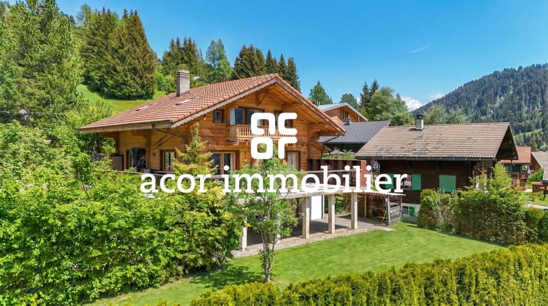 CHALET SKI-IN/SKI-OUT DE 3 APPARTEMENTS (1)