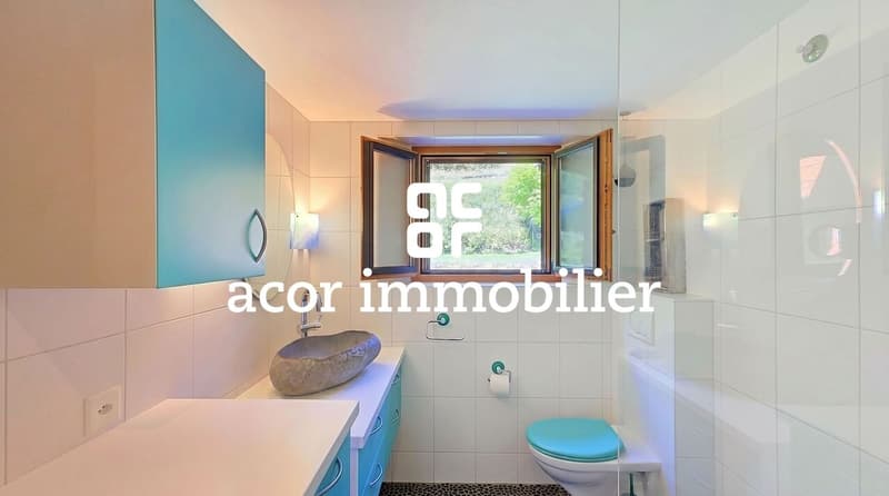 Un chalet de charme de 5,5 pièces entre nature et sérénité (4)