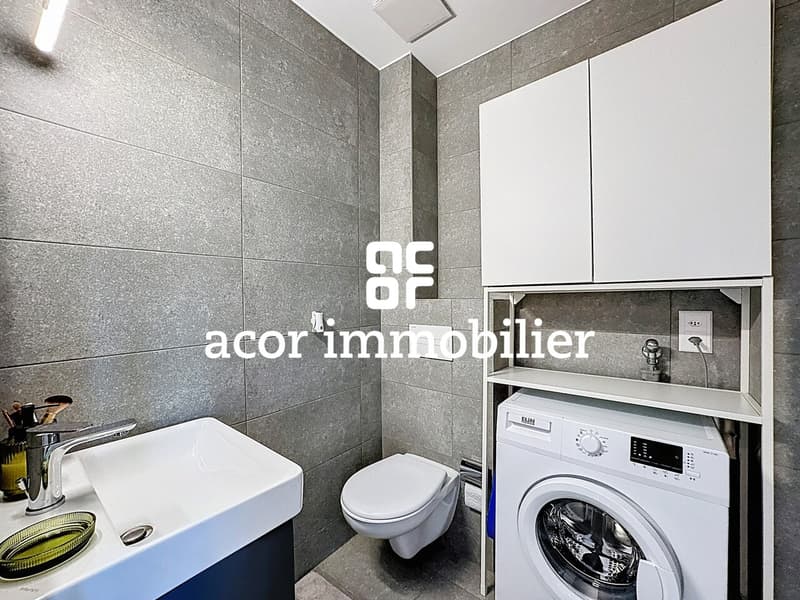 Sion ouest - Appartement 2½ indépendant avec grande terrasse (9)