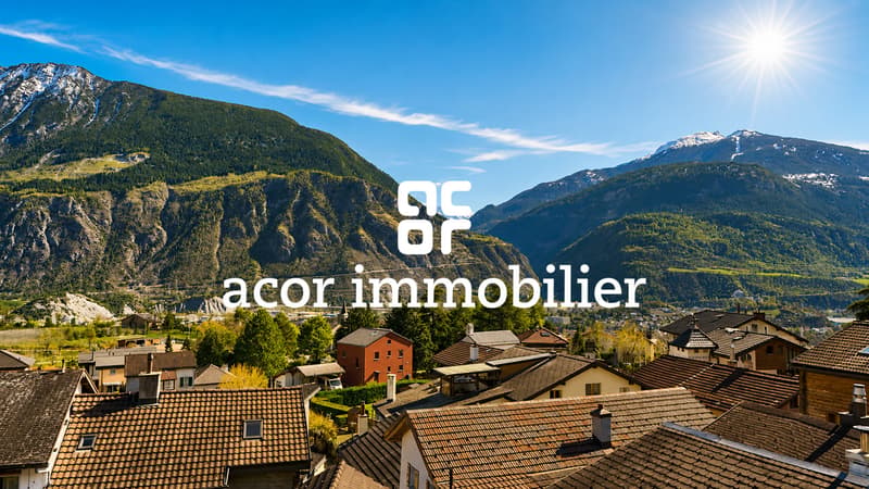 Charmante maisonnette rénovée avec jardin, terrasse et fort potentiel (4)