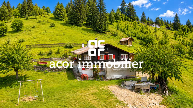 Appartement dans un authentique mayen - Vue magnifique et nature (1)