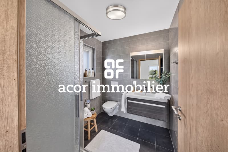 Charmant appartement 3,5 pièces en PPE (6)