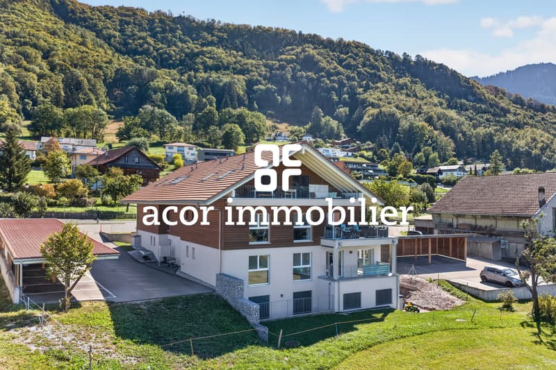 Charmant appartement 3,5 pièces en PPE (8)
