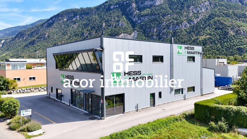 Halle commercial et industriel aux portes de Sion (10)
