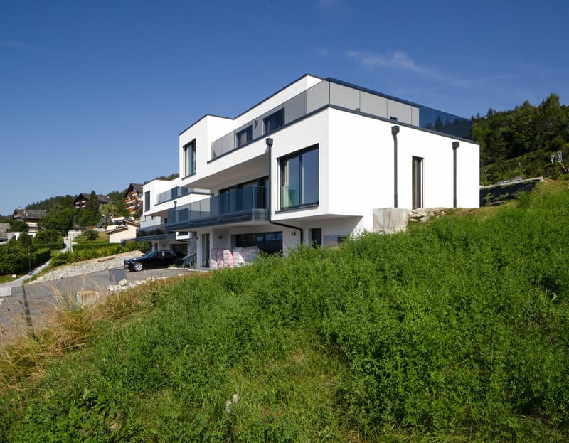 Magnifique villa contemporaine neuve (13)