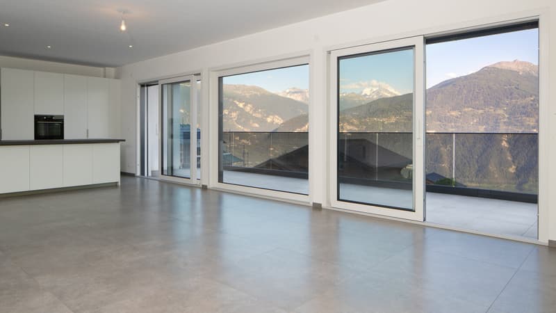 Magnifique villa contemporaine neuve (6)