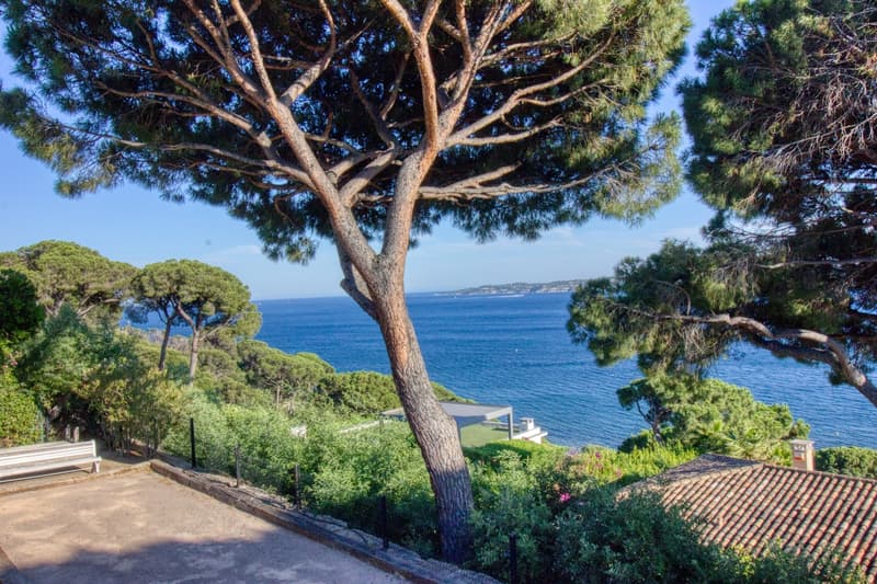 Opportunitée rare à Sainte-Maxime (10)