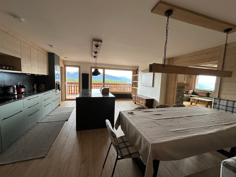 Très bel appartement de 5,5 pièces (6)