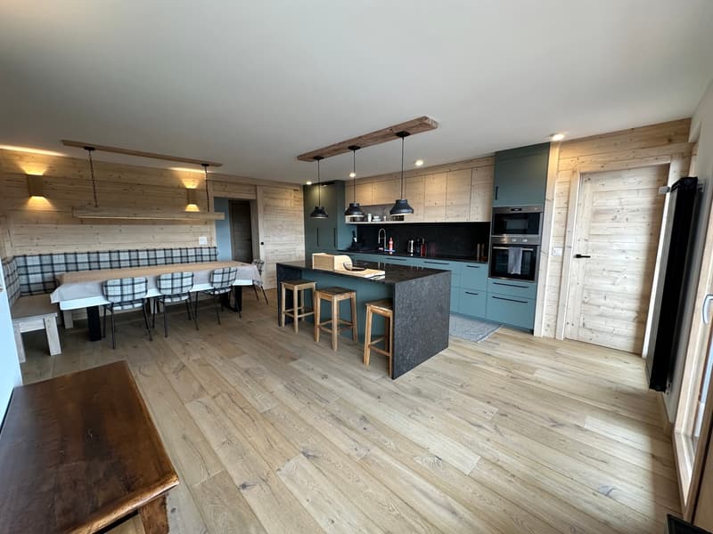 Très bel appartement de 5,5 pièces (1)