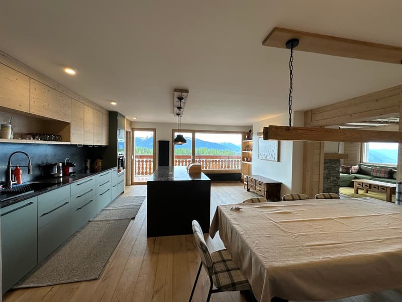 Très bel appartement de 5,5 pièces (5)