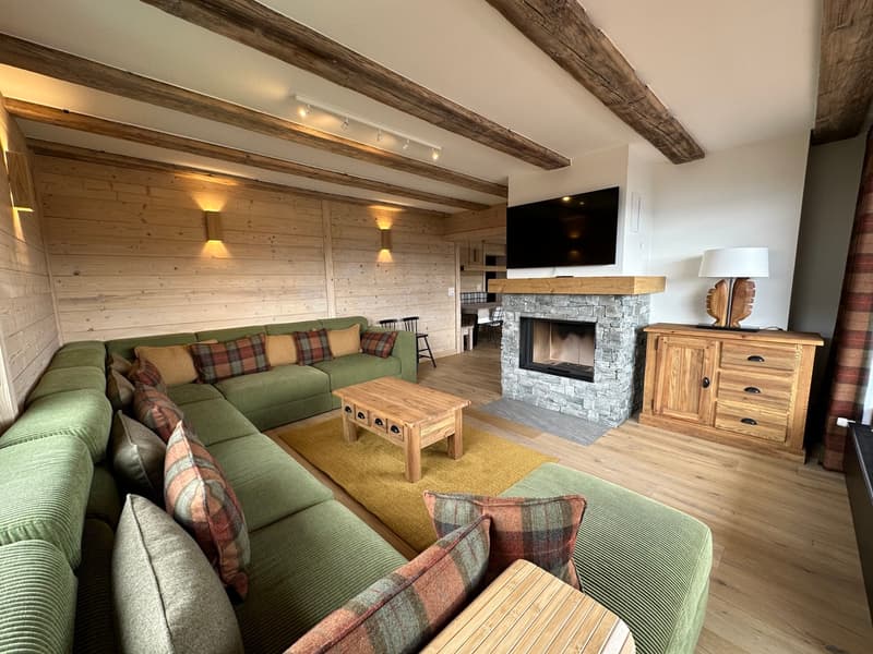 Très bel appartement de 5,5 pièces (2)