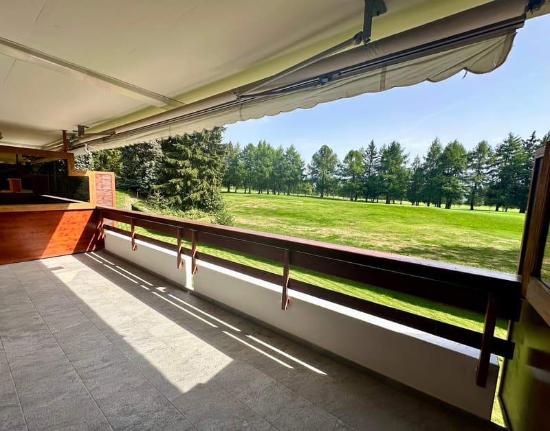Magnifique 3,5 pièces rénové sur le golf (10)