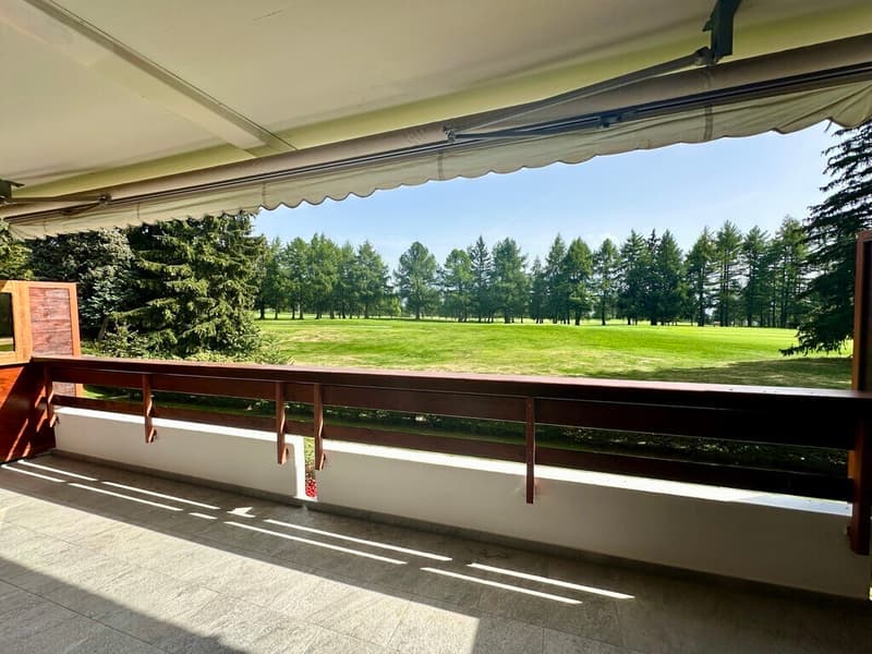 Magnifique 3,5 pièces rénové sur le golf (8)