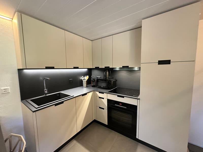 Petit appartement dans un chalet (4)