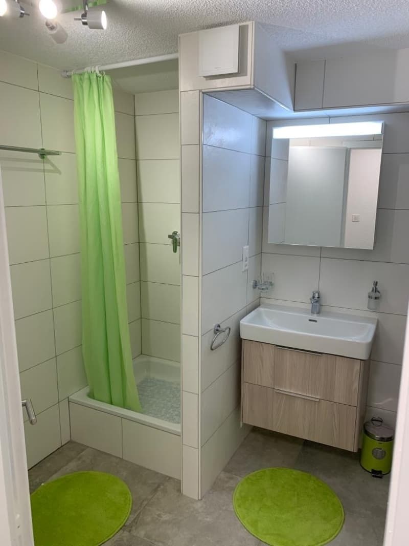 Petit appartement dans un chalet (1)