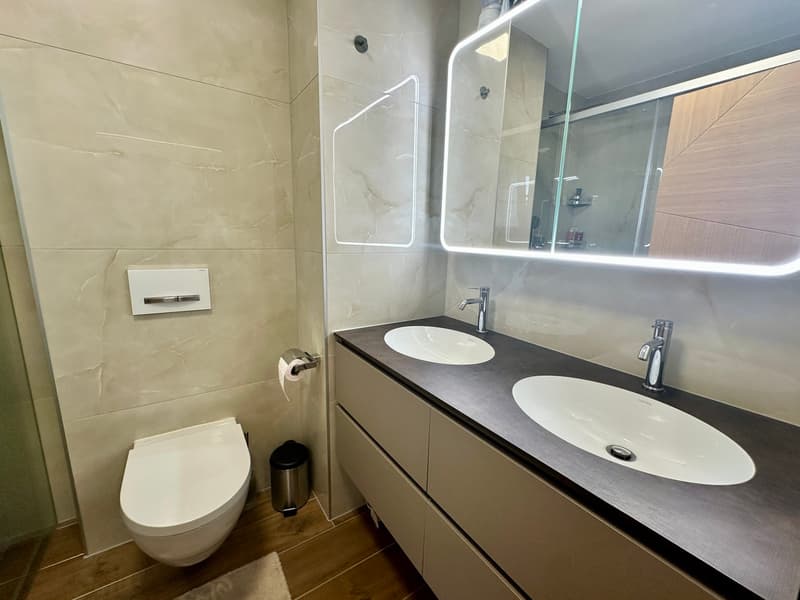 Splendide attique de 4,5 pièces neuf (9)