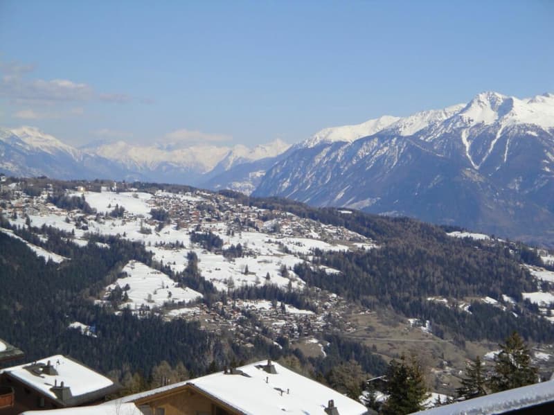 AV 15/Lion - 410 Location semaine Anzère (8)