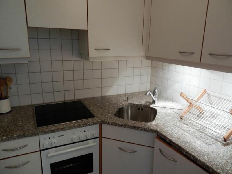 AV 15/Lion - 111 Location semaine (5)