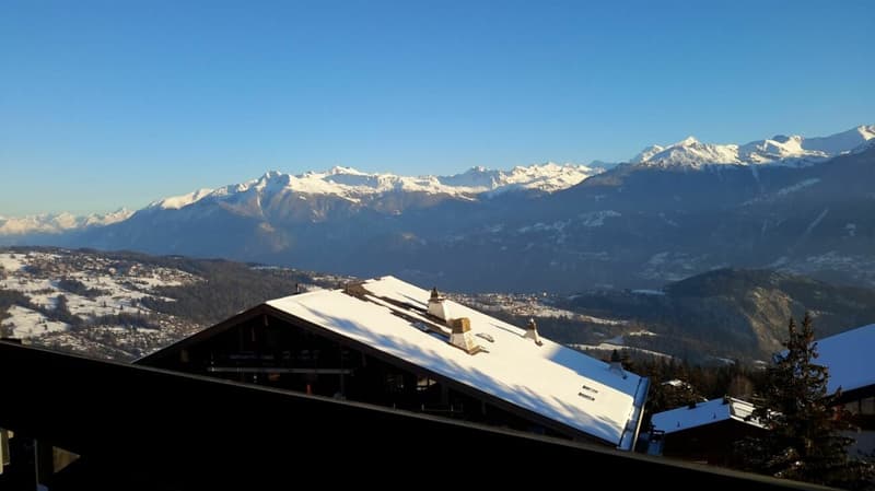AV 15/Lion - 402 Location semaine (10)