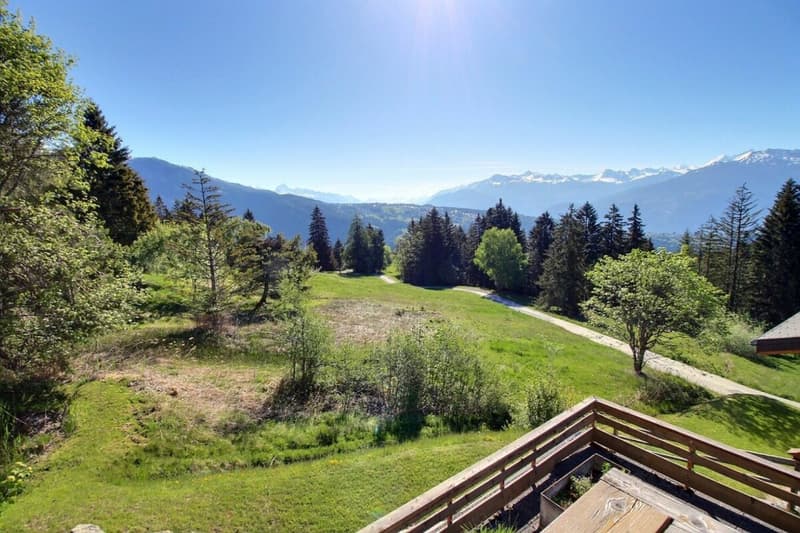 Chalet Trojka - location à la semaine (14)