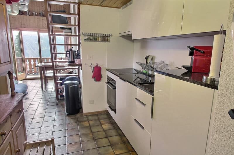 Armoises A102 - Location semaine (4)