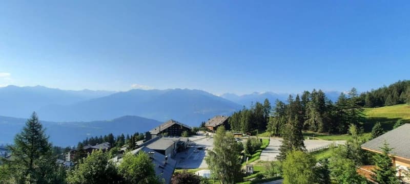 Armoises A102 - Location semaine (10)