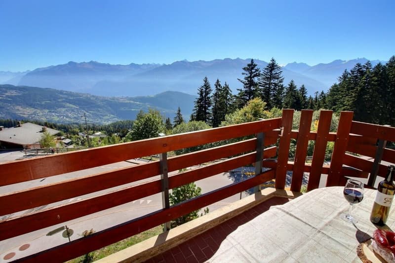 Saphir 308 Location semaine Anzère (11)