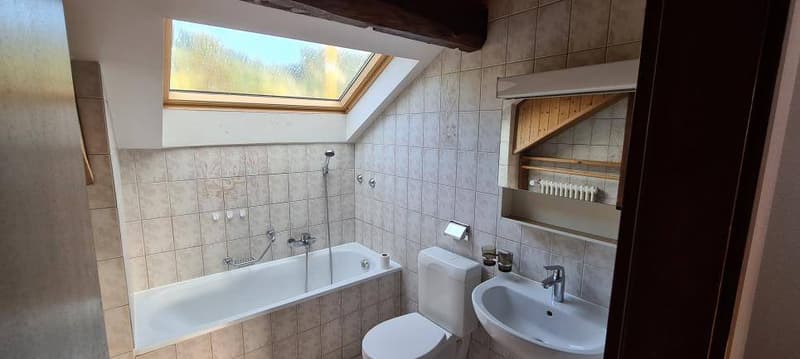 Duplex 4.5 pièces à Lucens (10)