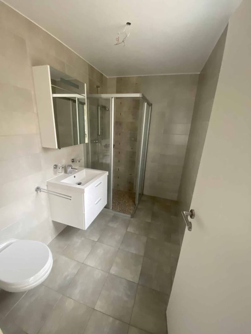 Très bel appartement de 3.5 pièces au 1er étage (10)