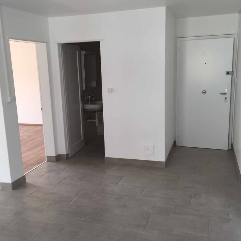 À louer bel appartement  de 3.5 pièces (2)