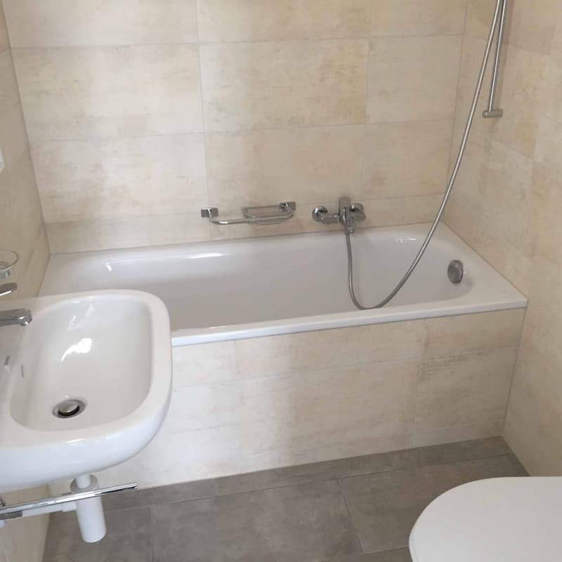 À louer bel appartement  de 3.5 pièces (5)