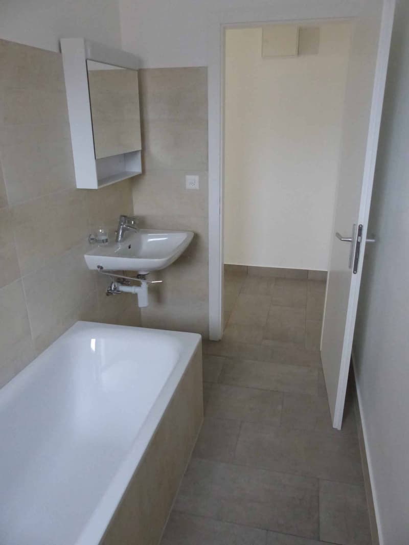 Appartement de 3.5 pièces  2? étage  Rue France 14 (13)