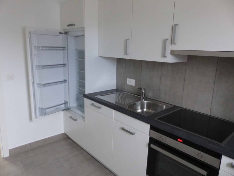 Appartement de 3.5 pièces  2? étage  Rue France 14 (2)