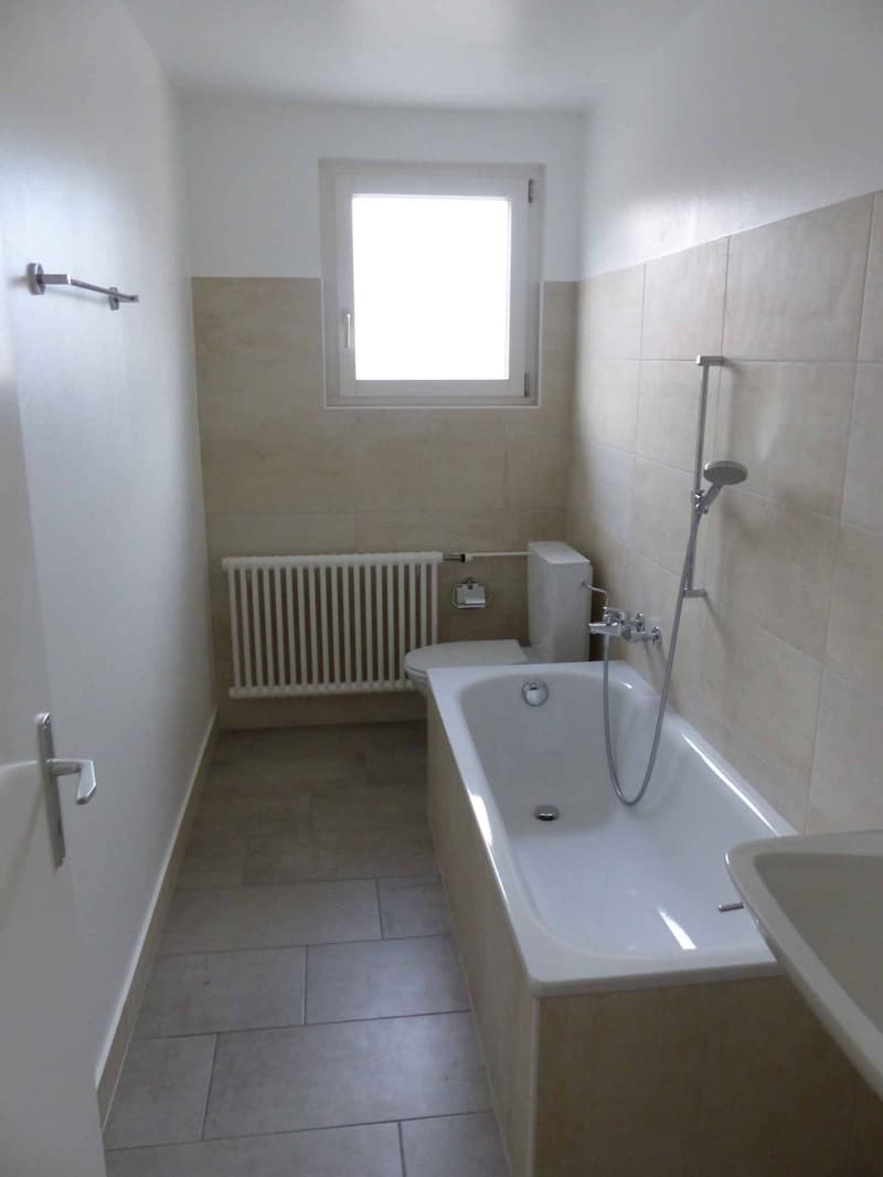 Appartement de 3.5 pièces  2? étage  Rue France 14 (10)
