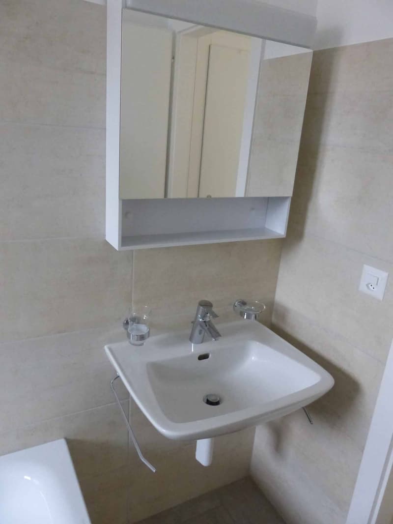 Appartement de 3.5 pièces  2? étage  Rue France 14 (11)